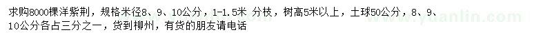 求購米徑8、9、10公分洋紫荊