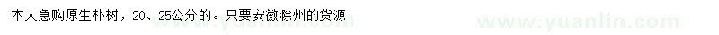 求購20、25公分樸樹
