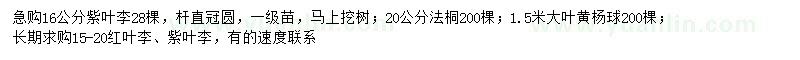 求購紫葉李、法桐、大葉黃楊球等