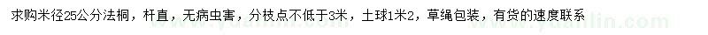 求購米徑25公分法桐
