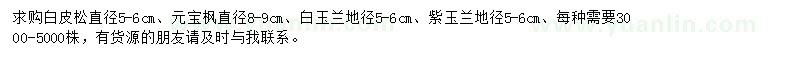 求購(gòu)白皮松、元寶楓、白玉蘭等