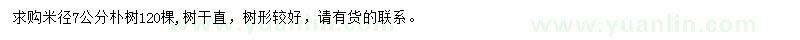 求購米徑7公分樸樹