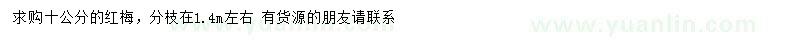 求購(gòu)10公分紅梅