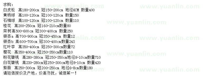 求購(gòu)白皮松、黃楊球、石楠球等