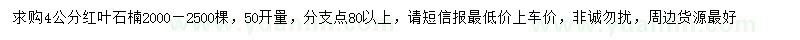 求購4公分紅葉石楠