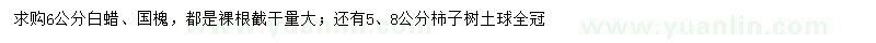 求購(gòu)白蠟、國(guó)槐、柿子樹(shù)
