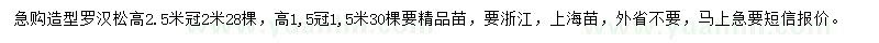求購(gòu)高2.5米造型羅漢松