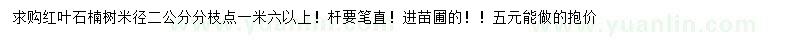 求購米徑2公分紅葉石楠