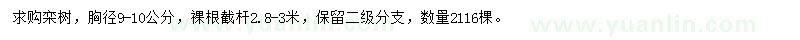 求購胸徑9-10公分欒樹
