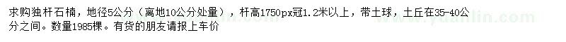 求購(gòu)地徑5公分石楠