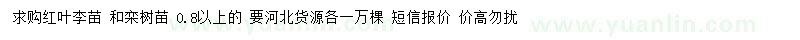 求購0.8公分以上紅葉李、欒樹