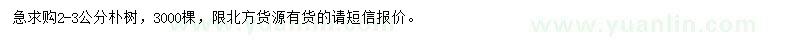 求購2-3公分樸樹