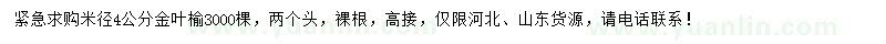 求購米徑4公分金葉榆