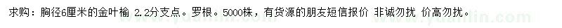 求購胸徑6公分金葉榆