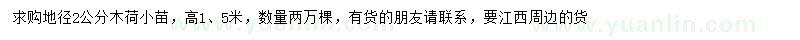 求購(gòu)地徑2公分木荷小苗