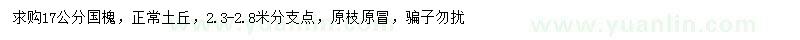 求購17公分國(guó)槐