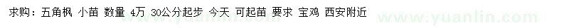 求購30公分起步五角楓