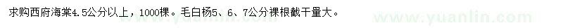 求購4.5公分以上西府海棠、5、6、7公分毛白楊