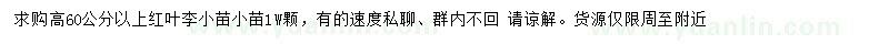 求購高60公分以上紅葉李