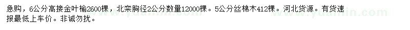求購(gòu)金葉榆、北欒、絲棉木