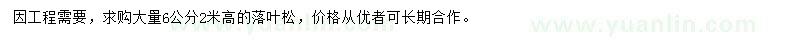 求購6公分落葉松