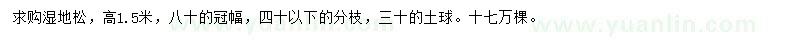 求購高1.5米濕地松