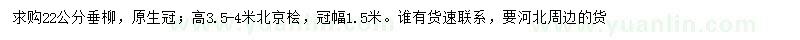 求購22公分垂柳、高3.5-4米北京檜