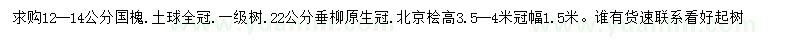 求購國槐、垂柳、北京檜