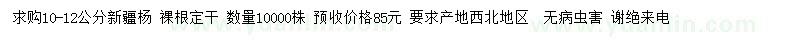 求購10-12公分新疆楊