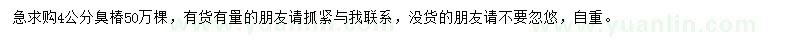求購(gòu)4公分臭椿
