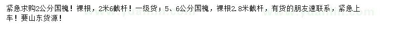 求購2、5、6公分國槐