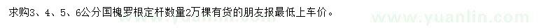 求購3、4、5、6公分國槐