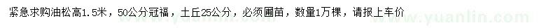 求購(gòu)高1.5米油松