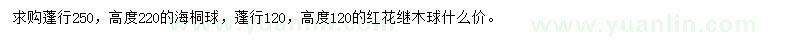求購(gòu)蓬形2.5米海桐球，蓬形120公分紅花繼木球