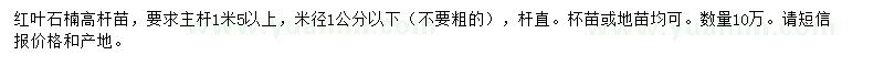 求購主桿1米5以上紅葉石楠