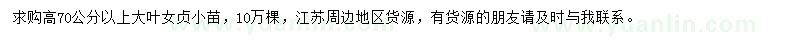 求購高70公分以上大葉女貞