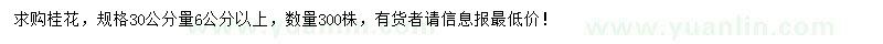 求購30公分量6公分以上桂花