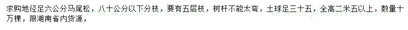 求購(gòu)地徑足6公分馬尾松