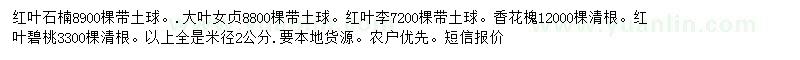 求購紅葉石楠、大葉女貞、紅葉李等