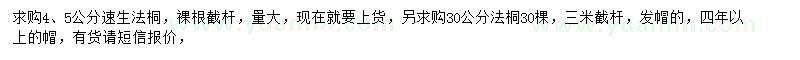 求購4、5公分速生法桐、30公分法桐