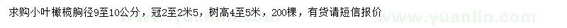 求購胸徑9-10公分小葉橄欖