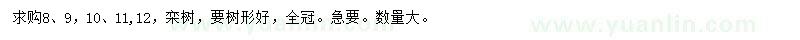 求購(gòu)8、9、10、11、12公分欒樹