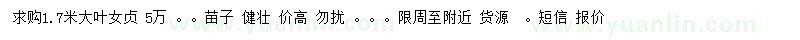 求購1.7米大葉女貞