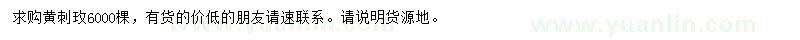 求購(gòu)黃刺玫