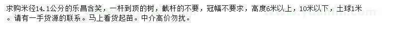 求購米徑14.1公分樂昌含笑