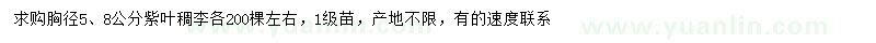 求購胸徑5、8公分紫葉稠李