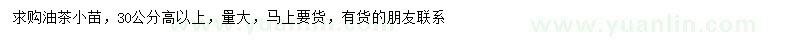 求購(gòu)高30公分以上油茶