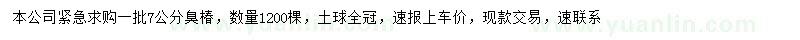 求購7公分臭椿