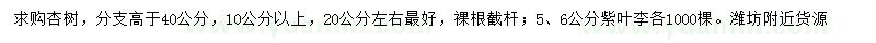 求購10-20公分杏樹、5、6公分紫葉李