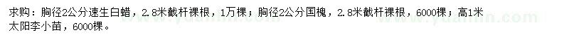 求購速生白蠟、國槐、太陽李小苗